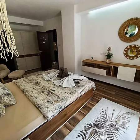 Luxury Flat F218 Μπάνσκο